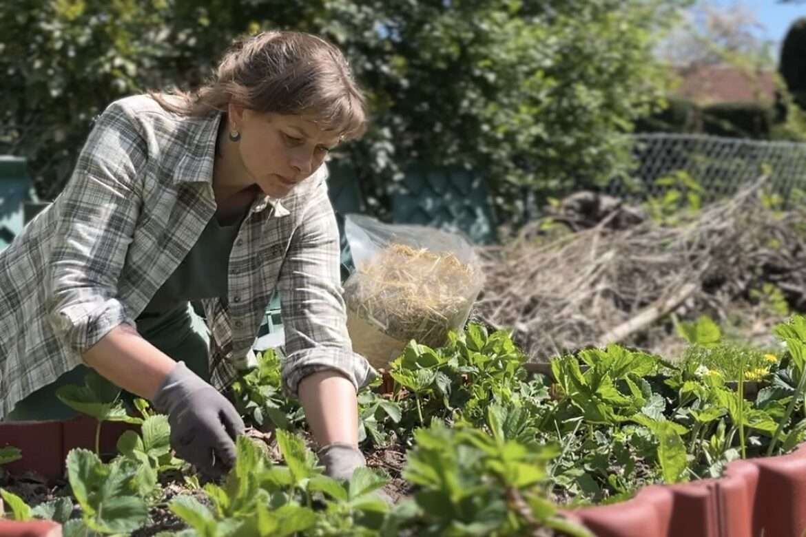 Gunhild-Rudolph-Garten-Pflege.jpg