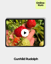 Beeren & Wildobst