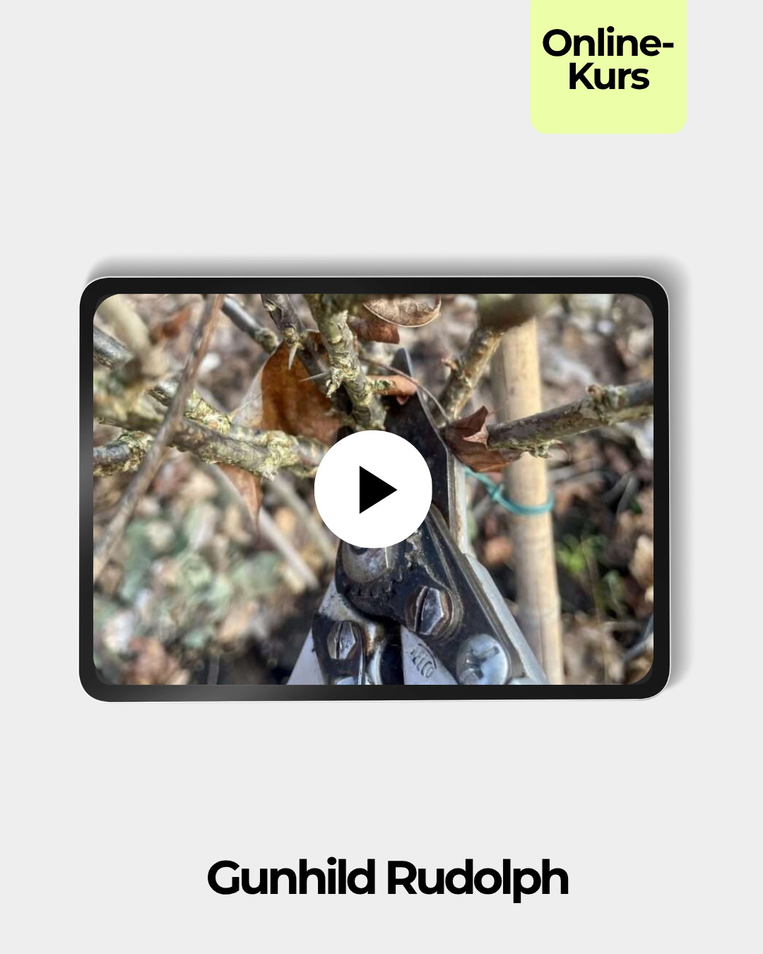 obstbaumschnitt-gunhild-rudolph-tablet.png