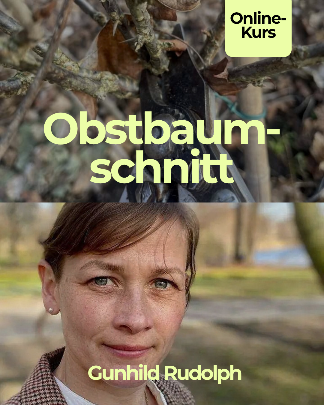 Obstbaumschnitt