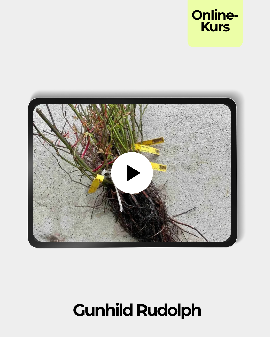 pflanzware-gunhild-rudolph-tablet.png