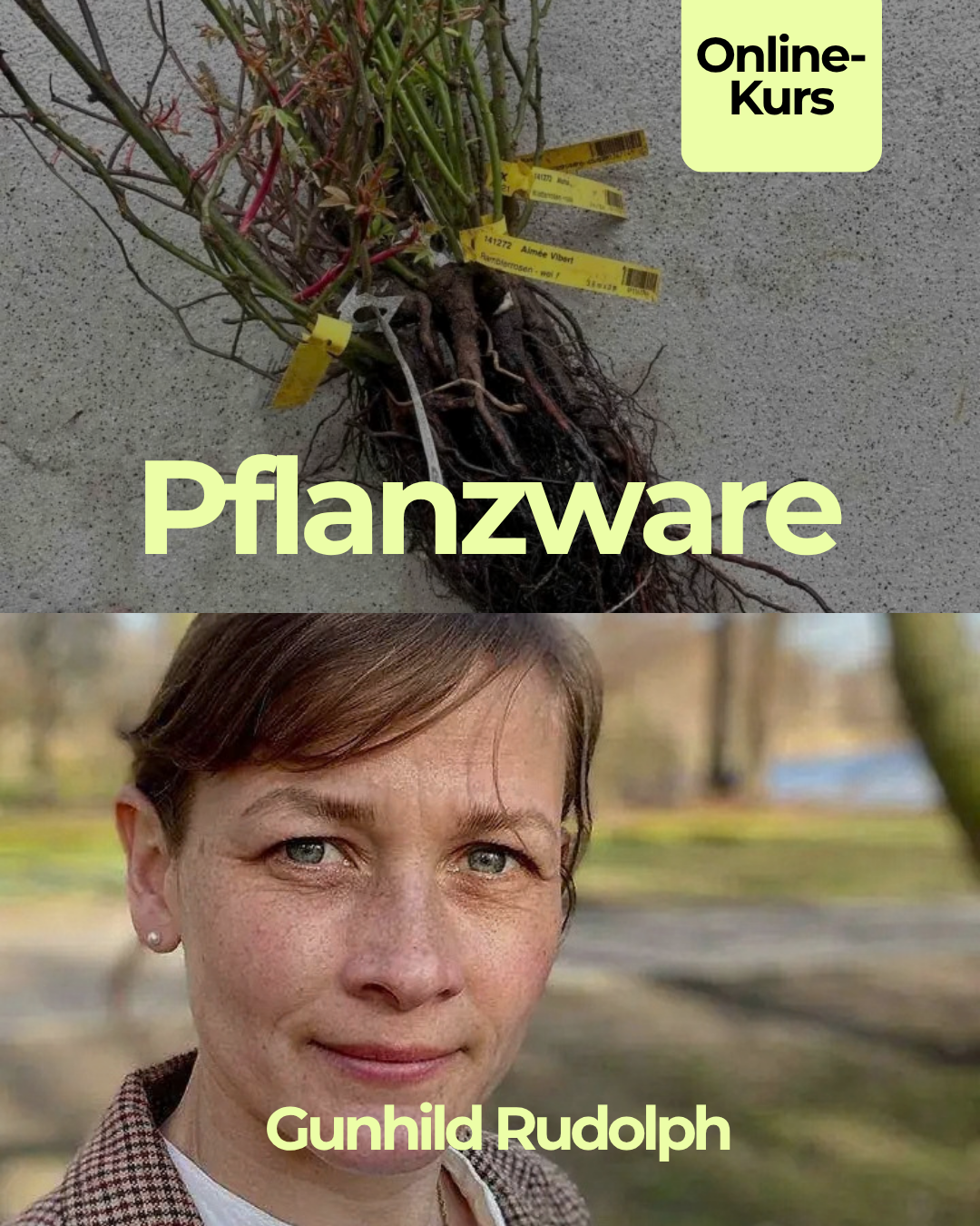 pflanzware-gunhild-rudolph.png