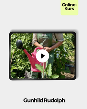 Richtig Gießen