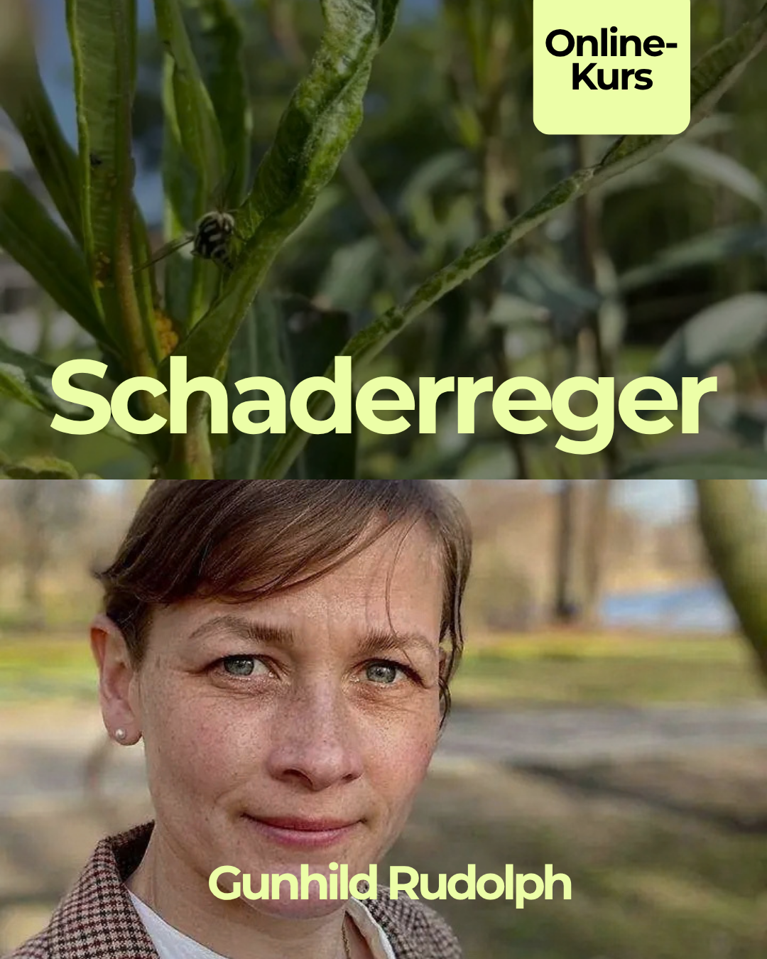 schaderreger-gunhild-rudolph.png
