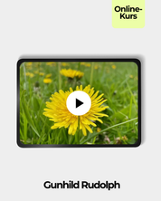 Stauden und Wildkräuter