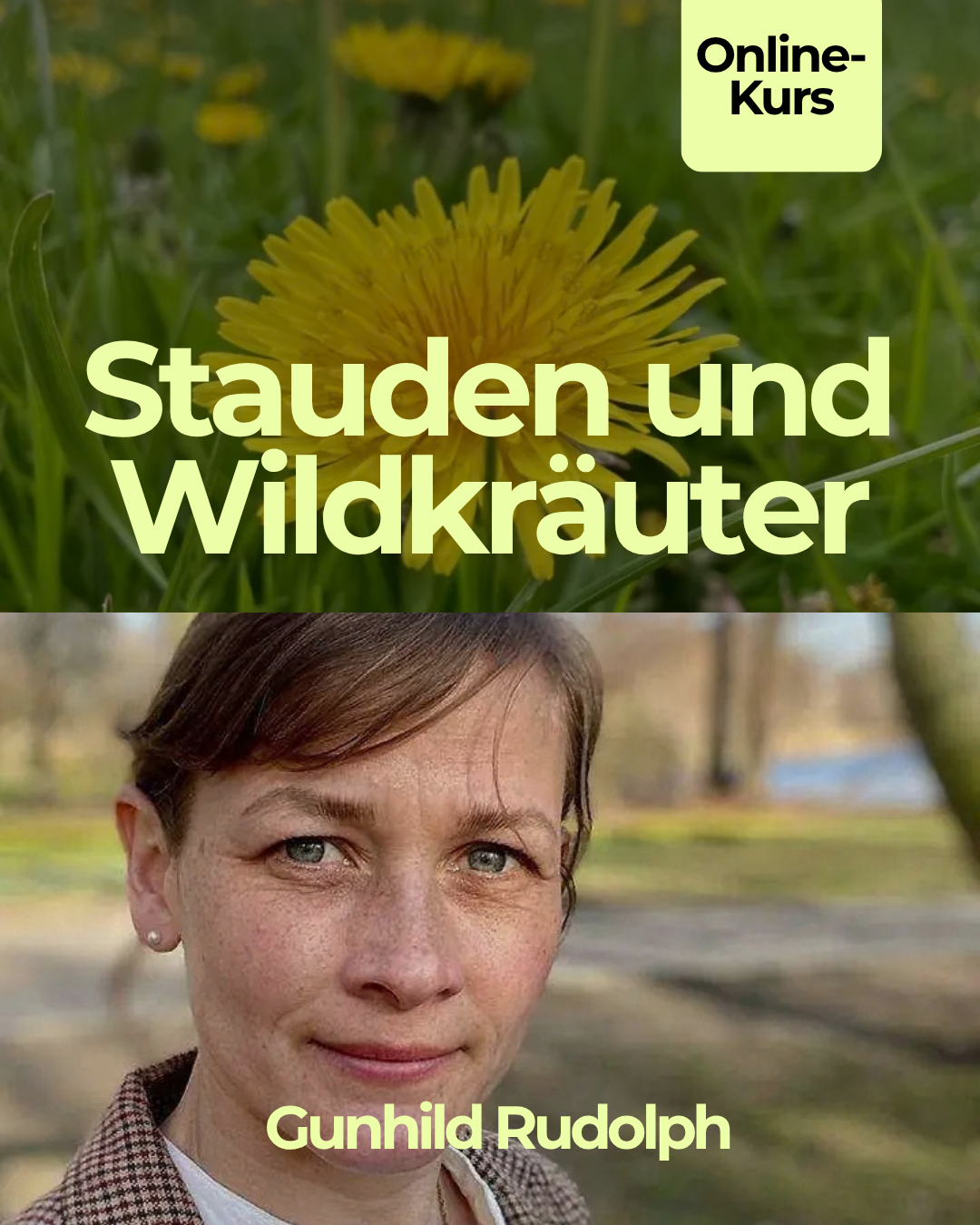 stauden-wildkraeuter-gunhild-rudolph.png