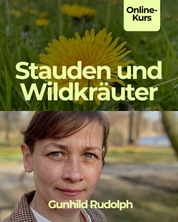 Stauden und Wildkräuter