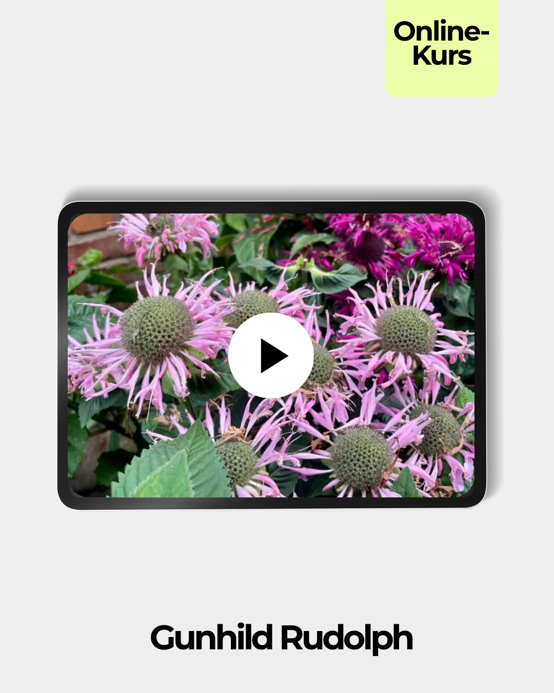 vegetative-vermehrung-gunhild-rudolph-tablet.png