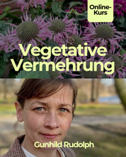 Vegetative Vermehrung im Herbst